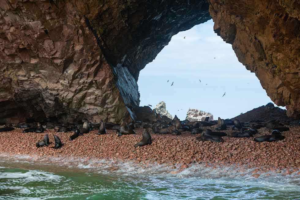 PARACAS MAGICAL BALLESTAS ISLAND AND PARACAS NATIONAL RESERVE